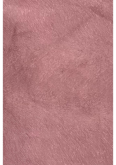 Enesar Home Tay Tüyü Premium Döşemelik Kumaş Taytüyü Gül Kurusu 100 x 140 cm