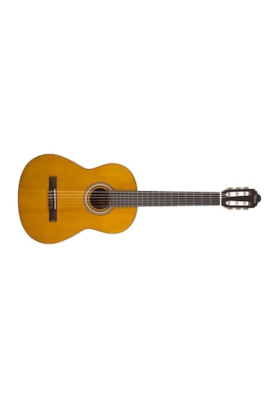 Valencia Vc204 Klasik Gitar Kılıf + Pena + Yedek Tel Takımı