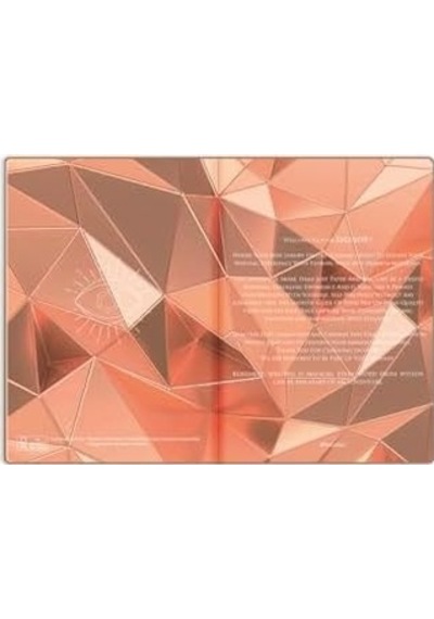 Le Metalik Notebook Düz Defter Shıne 17x24