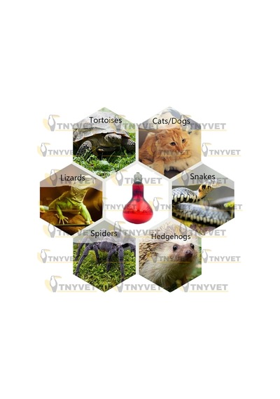 Ayrex 100 Watt Kızılötesi/kırmızı Işık Isıtıcı Lambalar Sürüngenler, Amfibiler Ve Kuşlar Için