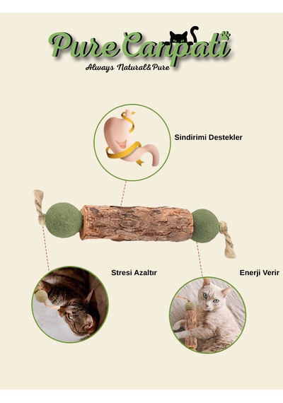 Purecanpati Catnipli Matatabi Stick Kedi Diş Kaşıyıcı Oyuncak