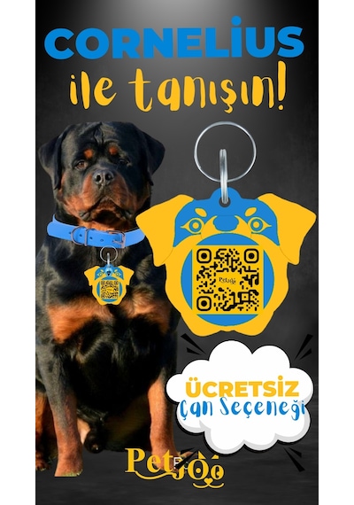 Petjoo 20.Cornelius Sarı-Mavi Qr'lı Köpek Künyesi