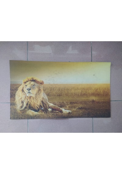 Dijital Baskılı Kapı Önü Daire Paspası Kauçuk Tabanlı 39*69 Cm A3