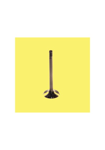 Subap Takımı Std Gunes 1533-1534 Ford Connect