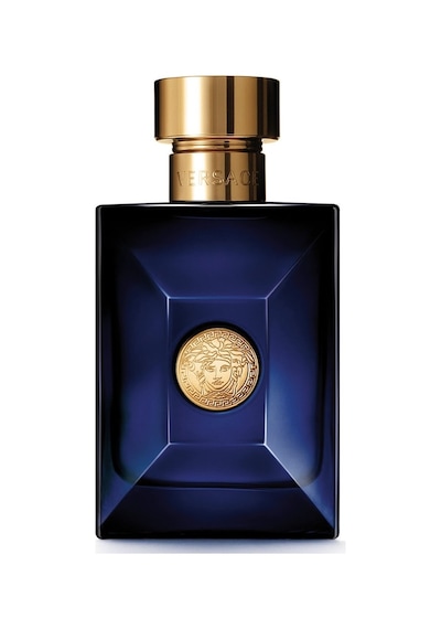 Versace Dylan Blue Erkek Parfüm EDT 100 ML