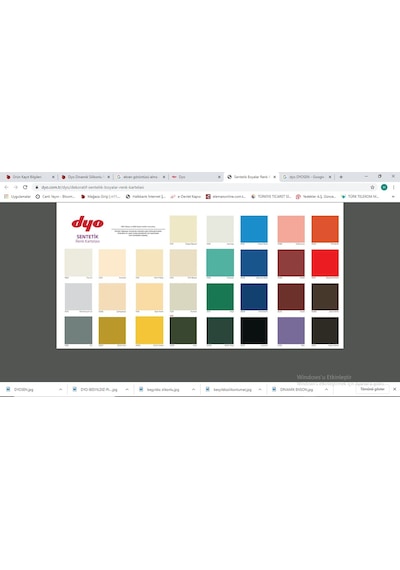 Dyo Dyosen Sentetik Yağlı Boya 0,75 Lt