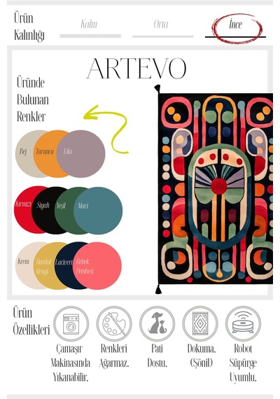 Artevo 11 Geometrik Renkli Tasarım Siyah Halı Modern Hol Antre Yolluk Oturma Odası Salon Halısı Renkli D