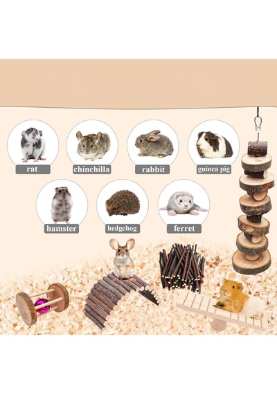 Doğal Ahşap Kemirgen Seti 6 Parça - Hamster, Gine Pig, Tavşan, Çinçilla İçin Kafes Aksesuarları
