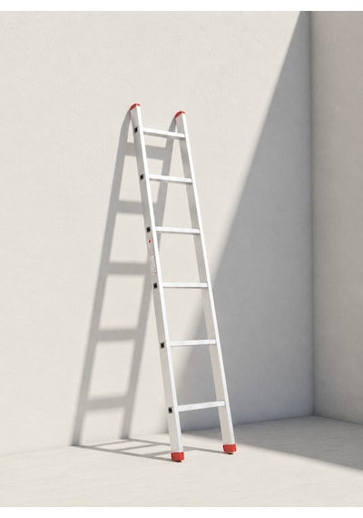 Tek Parça Alüminyum Merdiven 2 Metre 6 Basamaklı Tm.200 200 Cm'ye Kadar