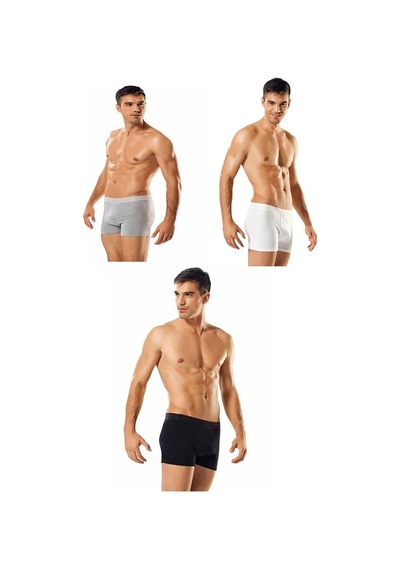 Tutku Iç Giyim Pamuklu Likralı Erkek Boxer Boxer 3 Lü Paket 001