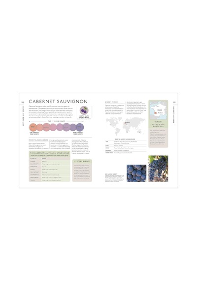 Wine A Tasting Course: From Grape To Glass