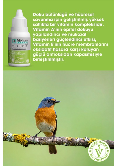 Mixtura Pharma Bird Vıt A-e Plus