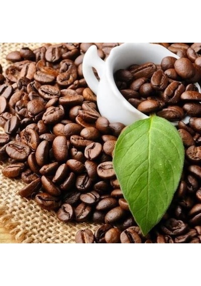 Sınırlı Stok Rabusta Kahve Fidanı Büyük Boy, Tüplü
