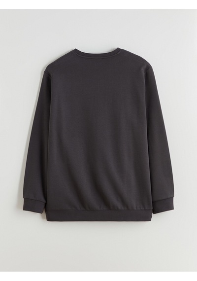 Lcwaıkıkı Classic Antrasit Büyük Beden Bisiklet Yaka Erkek Sweatshirt