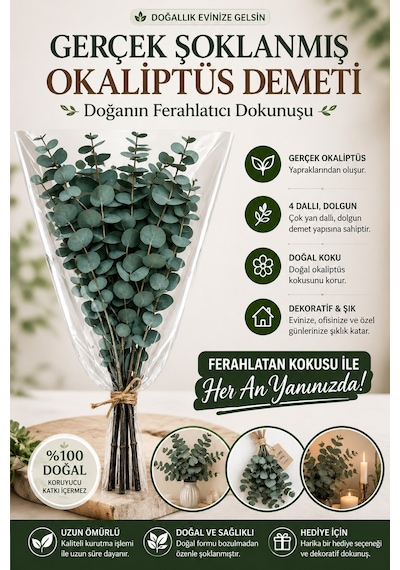 Doğal Yeşil Okaliptüs Demeti Gerçek Okaliptüs, Şoklanmış Büyük Okaliptus Demeti Doğal Yeşil