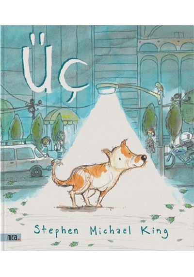 Üç Karton Kapak / Stephen Michael King