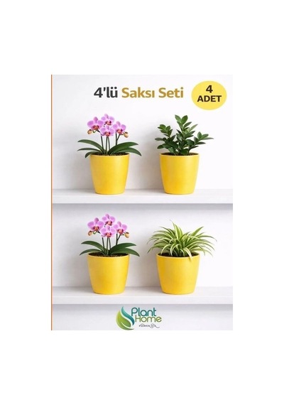 Dekoratif Sarı Orkide Saksısı - 4 Adet Set  12 Pot Üretim Saksısına Uygun Kaliteli Ürün