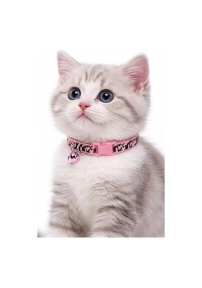 Kedi Boyun Tasması Zilli Ve Ayarlanabilir Alaca Desenli