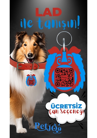 Petjoo 23.Lad Mavi-Kırmızı Qr'lı Köpek Künyesi