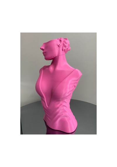 Pembe Renk Dekoratif Takı Mankeni Teşhir Standı 30 Cm Takı Organizer Mücevher Küpe Kolye Sergileme
