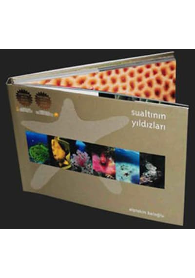 Sualtının Yıldızları - Ciltli Kutulu