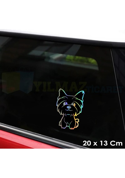 Köpek Hologram Araba Oto Sticker Yapıştırma Etiket Çıkartma