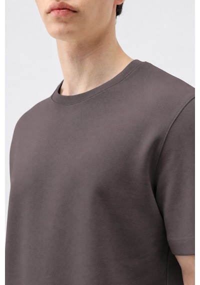 Antioch Regular Fit Basic Erkek T-shirt Koyu Vizon