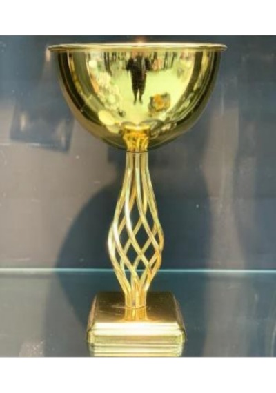 Vz-30 Burgulu Saksı Gold 35 Cm Boy 26 Cm Çap Dekoratif Modern Şık Saksı Altın