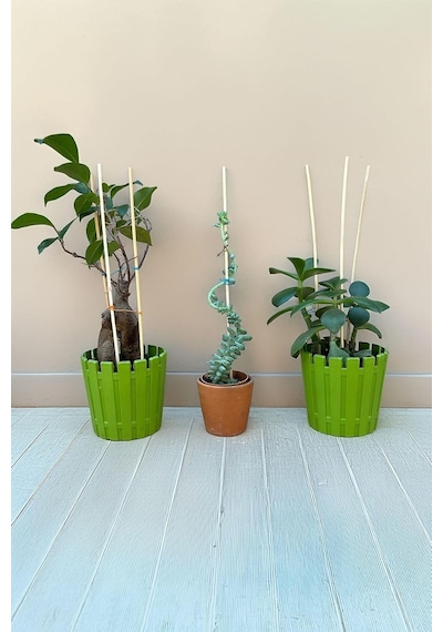 Depolife Bitki Fidan Saksı Destek Kazığı 10 Adet 30cm Bambu Destek Çubuğu Seti