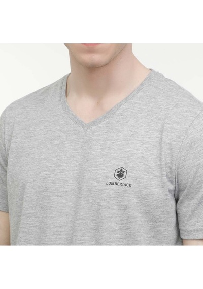 Lumberjack Bsc V Nk Tişört 4fx Gri Erkek Kısa Kol T-shirt M-ct106 001