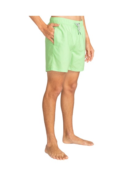 Bıllabong Billabong Erkek Şort All Day Lb Fıstık Yeşili 7315 Çok Renkli