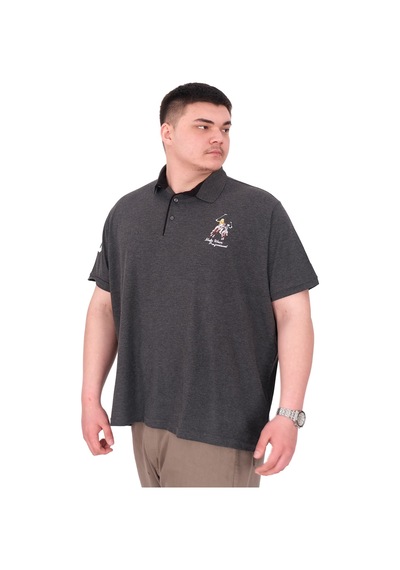 Mode Xl Büyük Beden Erkek T-shirt Polo Yaka Nakış Detaylı U25311 Antrasit Antrasit