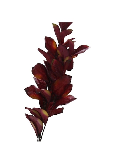 T.concept Sonbahar Yaprak Demeti Kahve A49101-06