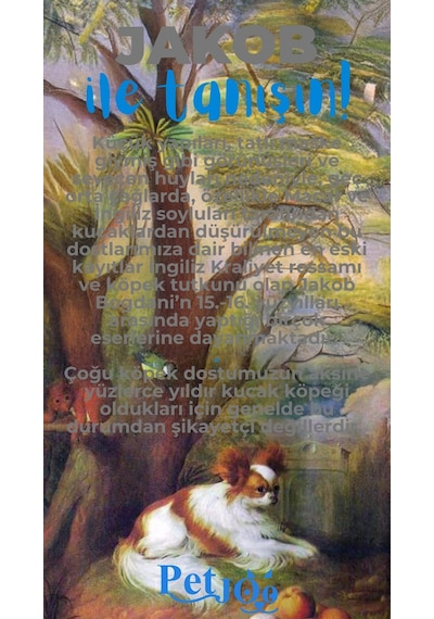 Petjoo 8.Jakob Mavi-Gri Qr'lı Köpek Künyesi