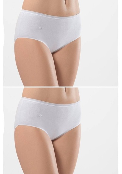 Türen Kadın Ribanalı Dikişsiz 2li Pamuklu Bikini Külot 001