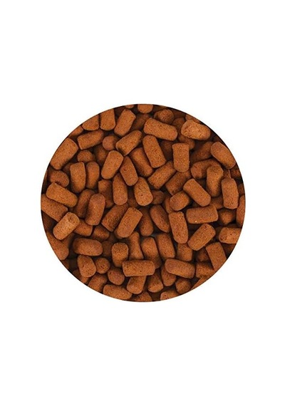 Soft Fish Kovadan Bölme 100gr