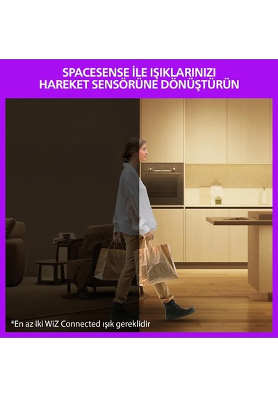 Smart Led Ampul A60 E27 60w Eşdeğer Rgb - Google Home, Alexa, Homekit Ve Matter Uyumlu Diğer