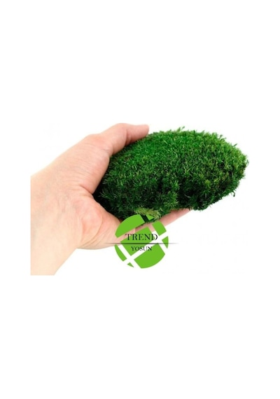 Top Yosun Şoklanmış Ort. 500 Gr. Ballmoss Yosun Koyu Yeşil