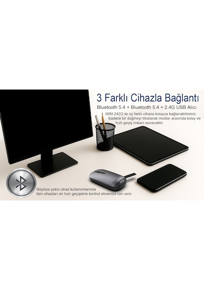 Inca Iwm-242g Bluetooth+wireless Double Mod Rechargeable Handhold