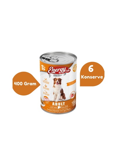 Energy Kuzu Etli Konserve Yetişkin Köpek Maması 6 x 400 G