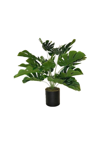 Yapay Çiçek Monstera Deve Tabanı Siyah Saksılı Salon Çiçeği 18 Ya