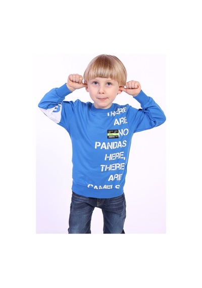 Toontoy Kids Toontoy Erkek Çocuk Ön Ve Kol Baskılı Sweatshirt Saks