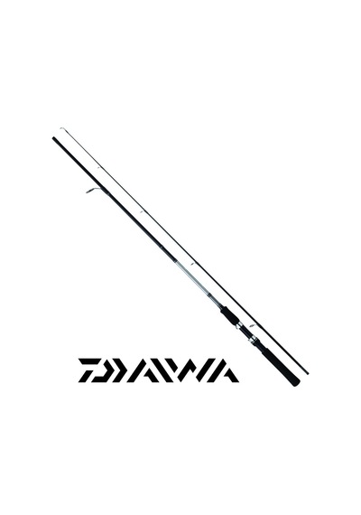 3000 270cm 20-60gr Daiwa Sweepfire Rapala Maket Balık Spin Olta Takımı Seti 46700079
