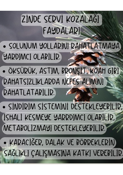 Servi Kozalağı Özü Doğal Geleneksel Üretim Net: 1250gram