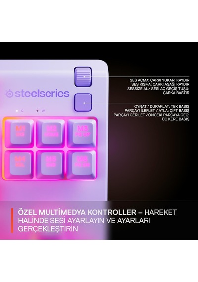 Steelseries Apex 3 Tkl Rgb Suya Ve Toza Dayanıklı Türkçe Gaming K
