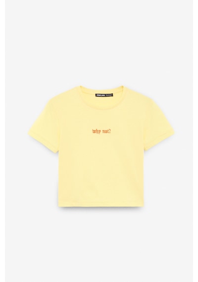 Ethıquet ZERAYA Kadın Bisiklet Yaka Kısa Kollu Önde Nakış Detaylı Crop Sarı T-Shirt
