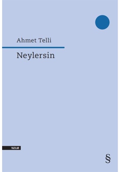 Neylersin -  Ahmet Telli -  Everest Yayınları