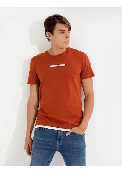Pierre Cardin Bakır Slim Fit Bisiklet Yaka T-shirt Çok Renkli