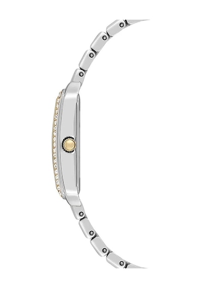 U.s. Polo Assn. Uspa2108-03 Kadın Kol Saati