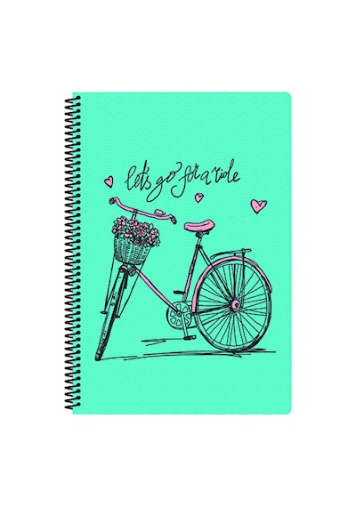 Art Style Defter A4 80 Yaprak Çizgili Pp Kapak Spiralli